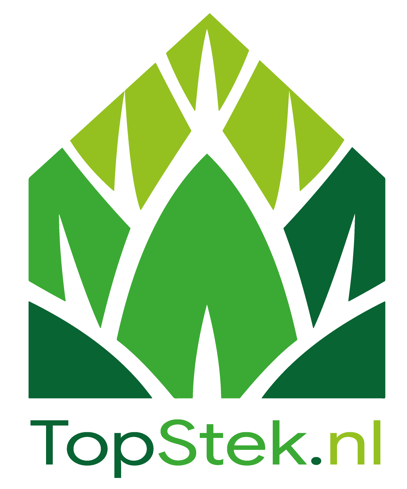 Stekken delen | Diverse stekmethodes  | Van stekje naar plant